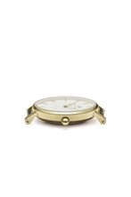 Load image into Gallery viewer, Female Watch DW00100350