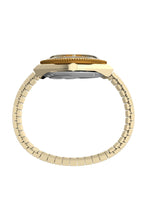 Load image into Gallery viewer, Female Watch TW2V92500