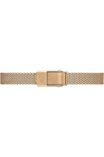 Load image into Gallery viewer, Female Watch DW00100648