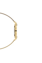 Load image into Gallery viewer, Daniel Wellington Quartz Gold Watch DW00100349