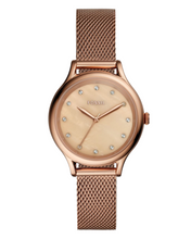 Load image into Gallery viewer, Laney Female Watch BQ3392