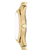 Load image into Gallery viewer, Campbell Male Watch FS6142