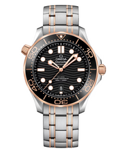Load image into Gallery viewer, SEAMASTER Male Watch 210.20.42.20.01.001