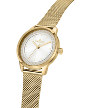 Load image into Gallery viewer, Ninfa Female Watch R0153168502