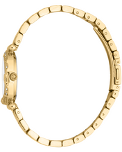 Load image into Gallery viewer, Stella Female Watch JC1L363M0045