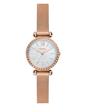 Load image into Gallery viewer, Tillie Mini Female Watch BQ3897