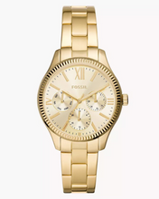 Load image into Gallery viewer, Rye Female Watch BQ3692