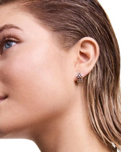 Load image into Gallery viewer, Silver Earrings DW00401020