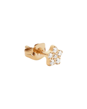 Load image into Gallery viewer, Gold Earring DW00400864