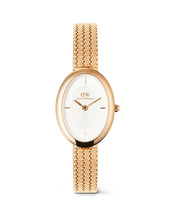Load image into Gallery viewer, Juliette Female Watch DW00100883