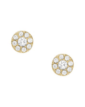 Load image into Gallery viewer, Ellis Female Earrings JF04375710