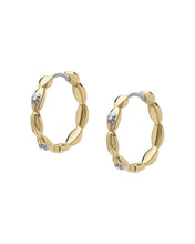 Load image into Gallery viewer, Sutton Female Earrings JF04795710