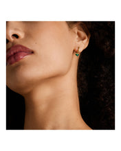 Load image into Gallery viewer, Sutton Female Earrings JF04859710