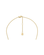 Load image into Gallery viewer, Heritage Female Necklace JF04951710