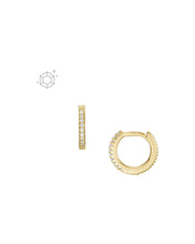 Load image into Gallery viewer, Ellis Female Earrings JFS00630710