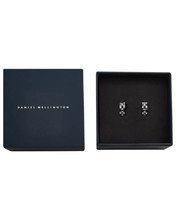 Load image into Gallery viewer, Silver Earrings DW00401019