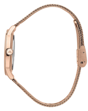 Load image into Gallery viewer, Ninfa Female Watch R0153168501