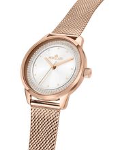 Load image into Gallery viewer, Ninfa Female Watch R0153168501