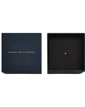 Load image into Gallery viewer, Silver Earring DW00400879