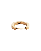 Load image into Gallery viewer, Gold Earring DW00400872