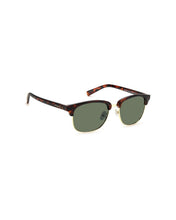 Load image into Gallery viewer, Unisex Sunglasses PLD-1012/S-PR6