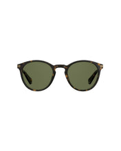 Load image into Gallery viewer, Male Sunglasses PLD-2062/S-N9P