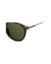 Load image into Gallery viewer, Male Sunglasses PLD-2062/S-N9P