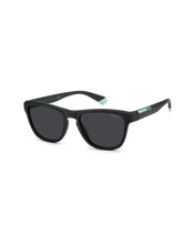 Load image into Gallery viewer, Male Sunglasses PLD-2168/S-003