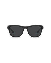 Load image into Gallery viewer, Male Sunglasses PLD-2168/S-003