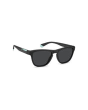 Load image into Gallery viewer, Male Sunglasses PLD-2168/S-003
