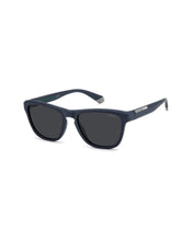 Load image into Gallery viewer, Male Sunglasses PLD-2168/S-4NZ