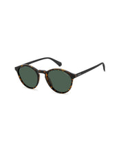 Load image into Gallery viewer, Male Sunglasses PLD-4153/S-086