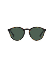 Load image into Gallery viewer, Male Sunglasses PLD-4153/S-086