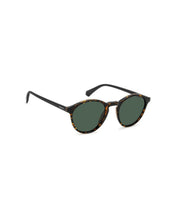 Load image into Gallery viewer, Male Sunglasses PLD-4153/S-086
