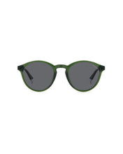 Load image into Gallery viewer, Male Sunglasses PLD-4153/S-1ED