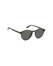 Load image into Gallery viewer, Male Sunglasses PLD-4153/S-1ED