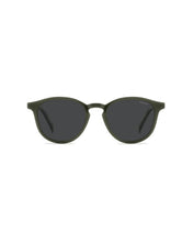 Load image into Gallery viewer, Male Sunglasses PLD-4191/S-4C3