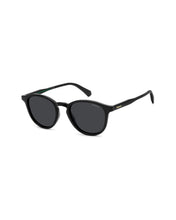 Load image into Gallery viewer, Male Sunglasses PLD-4191/S-807