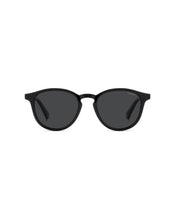 Load image into Gallery viewer, Male Sunglasses PLD-4191/S-807