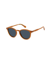 Load image into Gallery viewer, Male Sunglasses PLD-4191/S-FMP