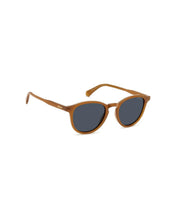 Load image into Gallery viewer, Male Sunglasses PLD-4191/S-FMP