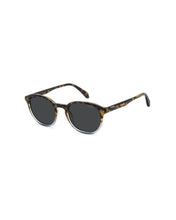 Load image into Gallery viewer, Male Sunglasses PLD-4195/S-IPR
