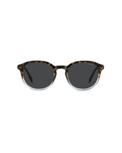 Load image into Gallery viewer, Male Sunglasses PLD-4195/S-IPR