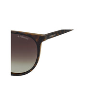 Load image into Gallery viewer, Unisex Sunglasses PLD-6003/N/S-V08