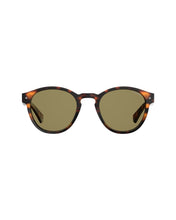 Load image into Gallery viewer, Unisex Sunglasses PLD-6042/S-086