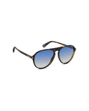 Load image into Gallery viewer, Male Sunglasses PLD-6225/S-086