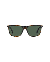 Load image into Gallery viewer, Male Sunglasses PLD-6232/S-086