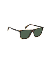 Load image into Gallery viewer, Male Sunglasses PLD-6232/S-086
