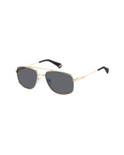 Load image into Gallery viewer, Male Sunglasses PLD-6235/S/X-2F7