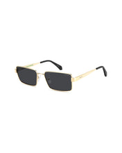 Load image into Gallery viewer, Male Sunglasses PLD-6255/S/X-2F7